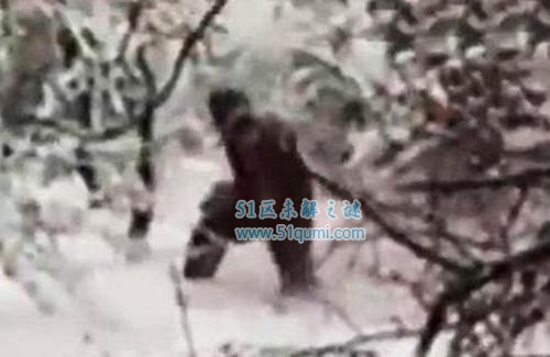 喜马拉雅山雪怪存在之谜会是古巨猿的后代吗