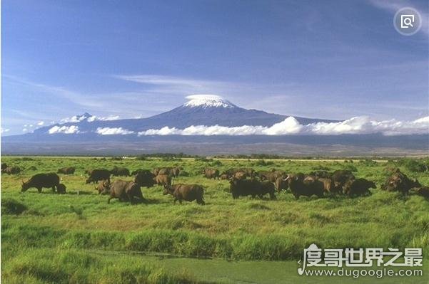 世界上最大的高原巴西高原面积超过半个中国500多万平方千米