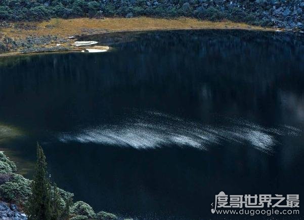 四川九龙猎塔湖水怪之谜真相疑是消失千年的克柔龙