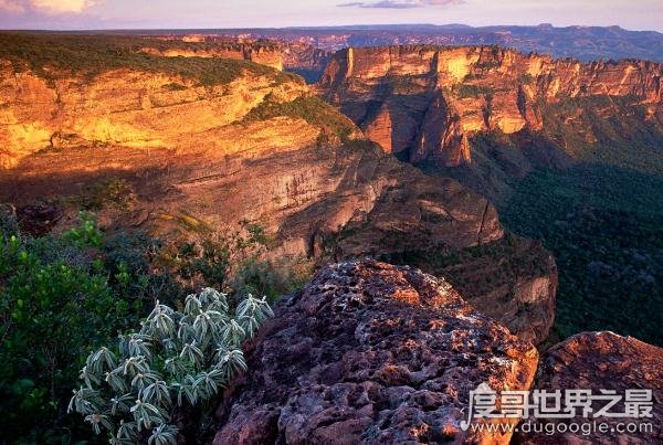 世界上最大的高原巴西高原面积超过半个中国500多万平方千米