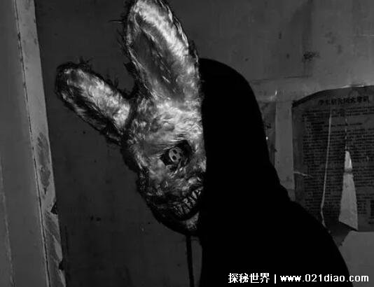 恐怖兔人图片真实照片图片