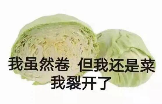 卷心菜是什么梗嘲讽内卷但实力很菜的人也可凡尔赛自称